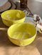Боул 1100 мл Freedom Yellow Ексклюзив 464637984591 &ndash; фото 5