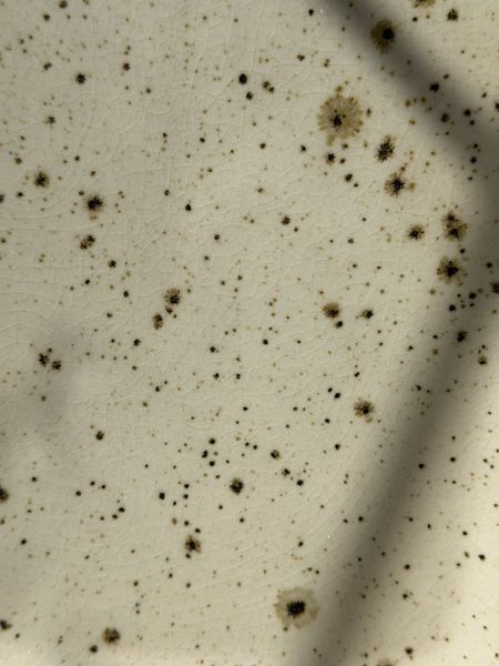 Форма для запікання Прямокутна 2,2 л Sand Space 428274933031 фото
