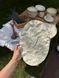 Тарілка Овальна Скеля 36 см Cream Коричневий Лофт 260508141392 &ndash; фото 1