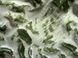 Тарелка Глубокая Скала 25 см Moss 100438742532 &ndash; фото 2