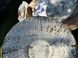 Тарілка MOON 32 см Milk Stone 880954914882 &ndash; фото 6