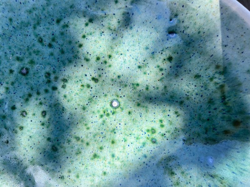 Тарілка Закусочна 26,5/22,5 см Deep Ocean 355512164571 фото