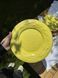 Тарілка Столова Корал 26 см Freedom Yellow 301600562462 &ndash; фото 1