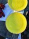 Тарілка Кругла 24 см Freedom Yellow 312740446201 &ndash; фото 1