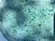 Тарілка Закусочна 26/22 см Капучино Deep Ocean 579536830191 &ndash; фото 6